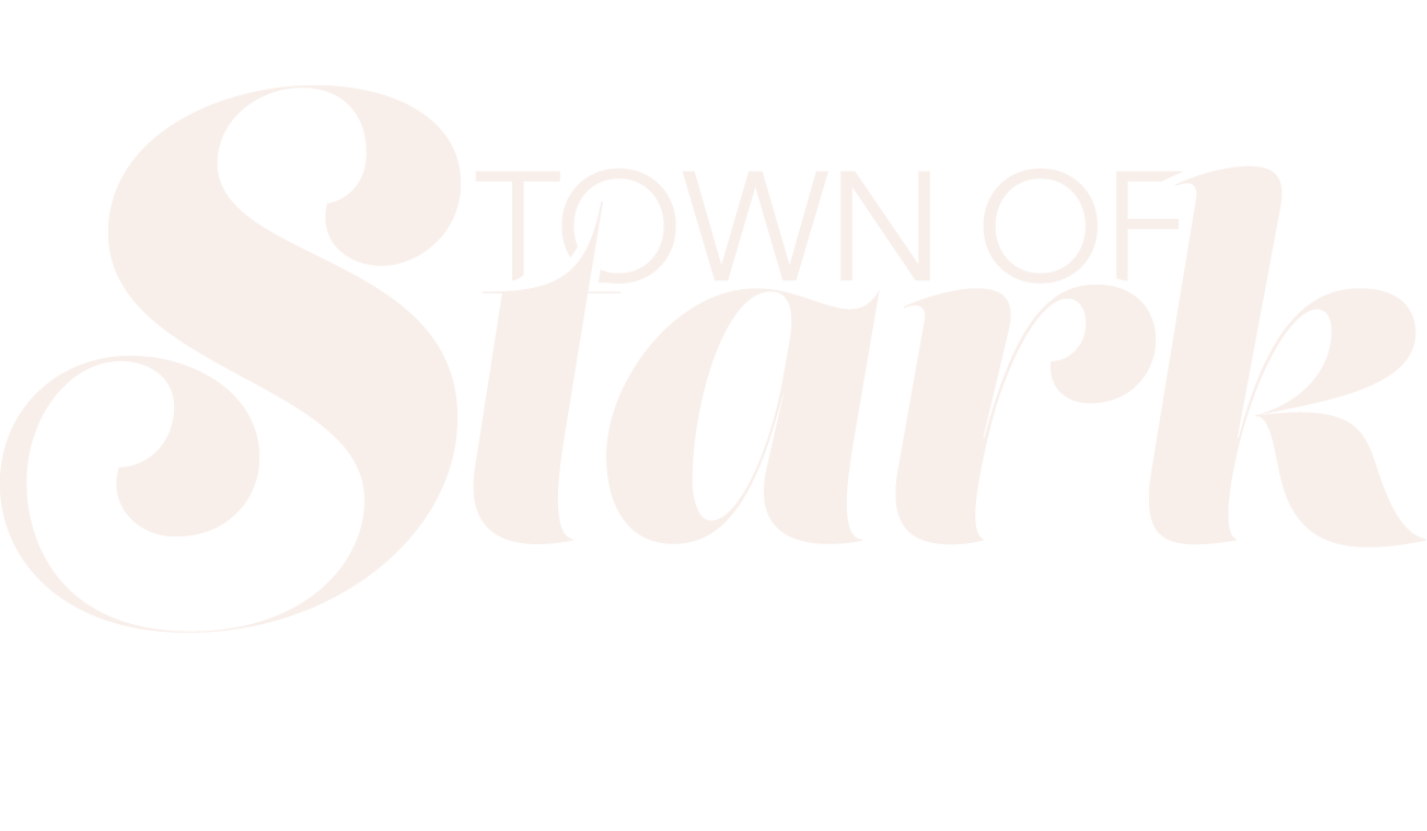 Town of Stark